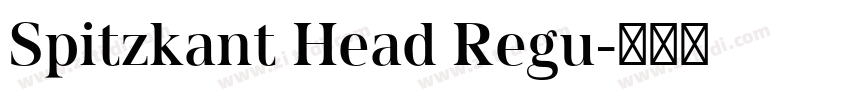 Spitzkant Head Regu字体转换 Spitzkant Head Regu字体转换